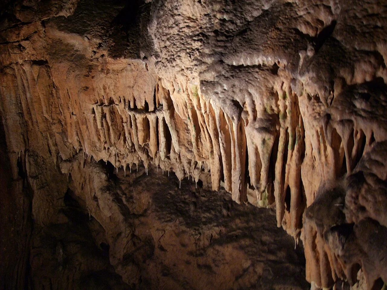Stalactites and stalagmites in Biserujka Cave
